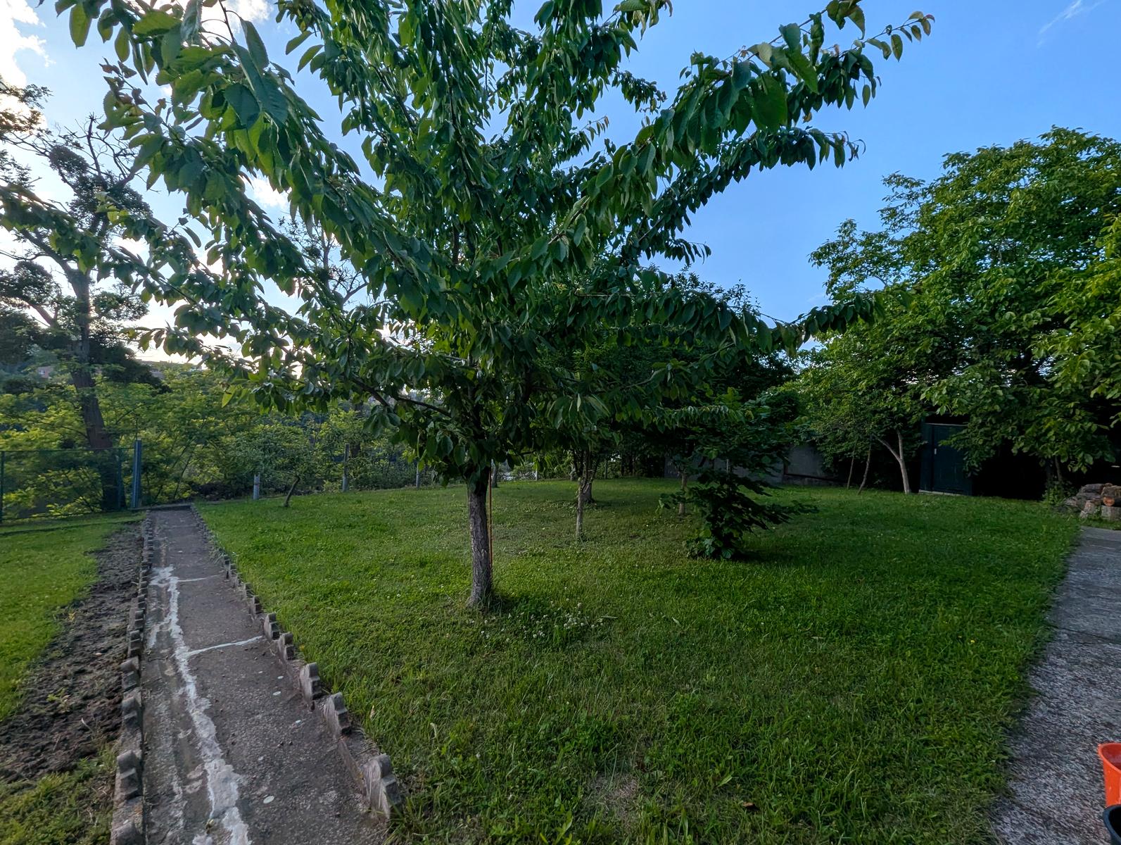 1868173667545321