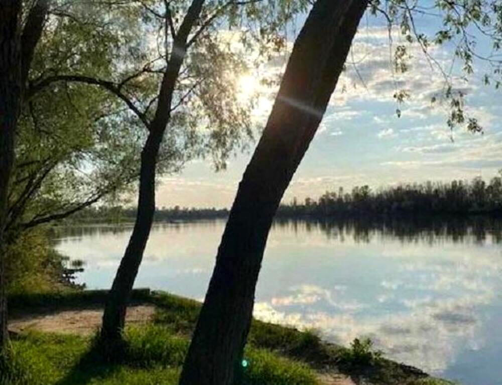 1868180795577351