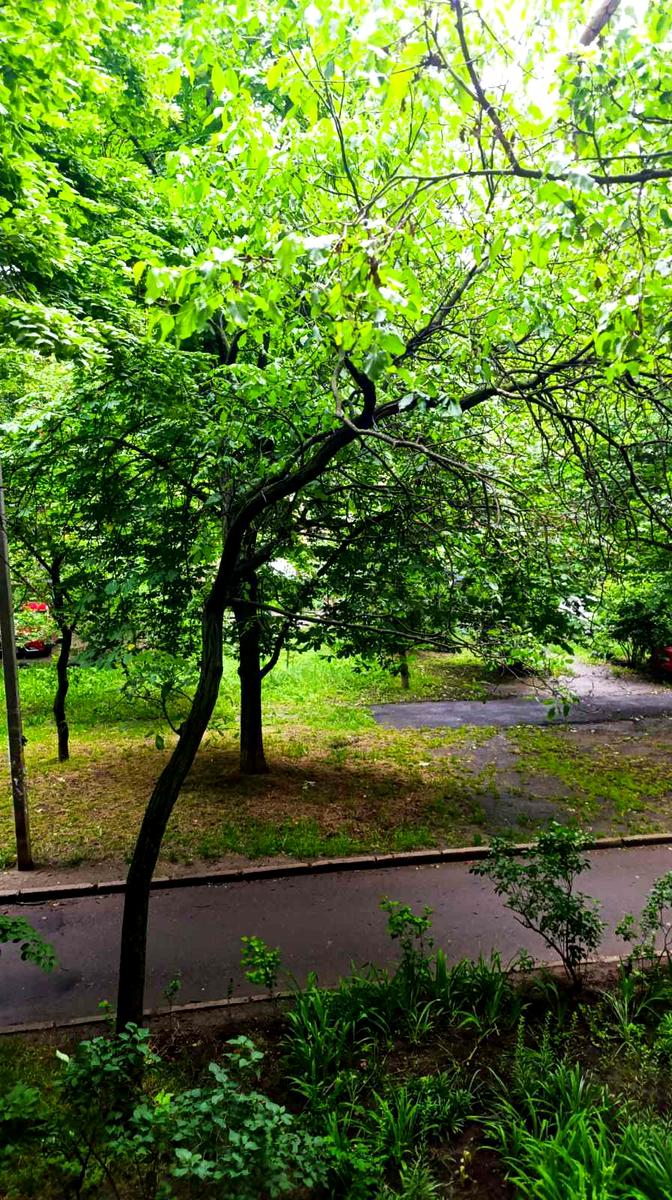 3-комнатная квартира по адресу Люстдорфская дор. (площадь 58 м²) - фото 10 3-комнатная квартира по адресу Люстдорфская дор. (площадь 58 м²) - Atlanta.ua - фото 10