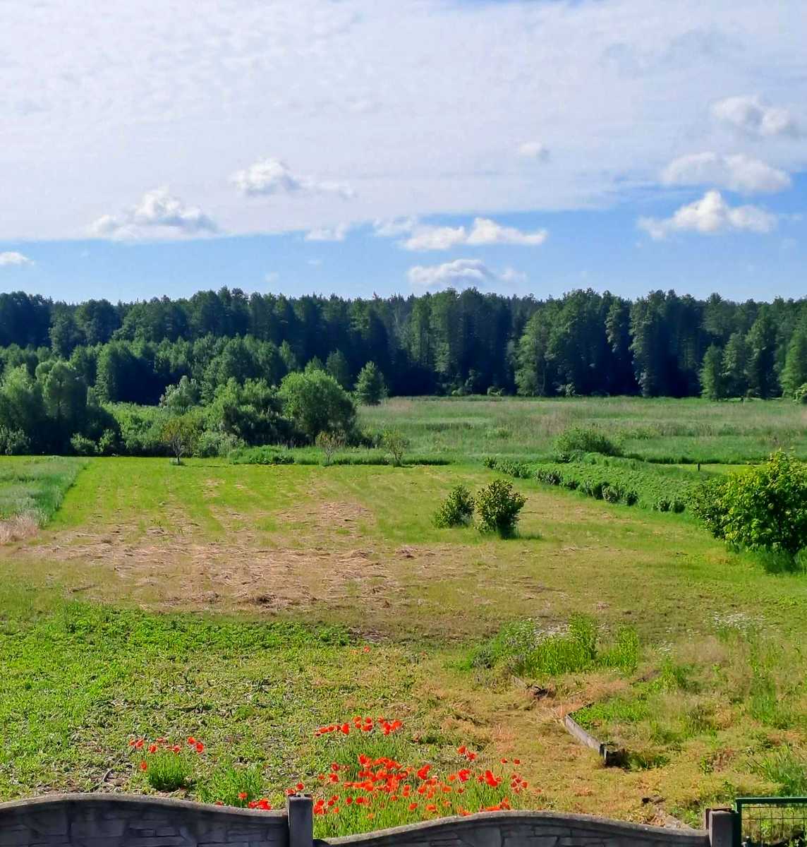 1868242107848414