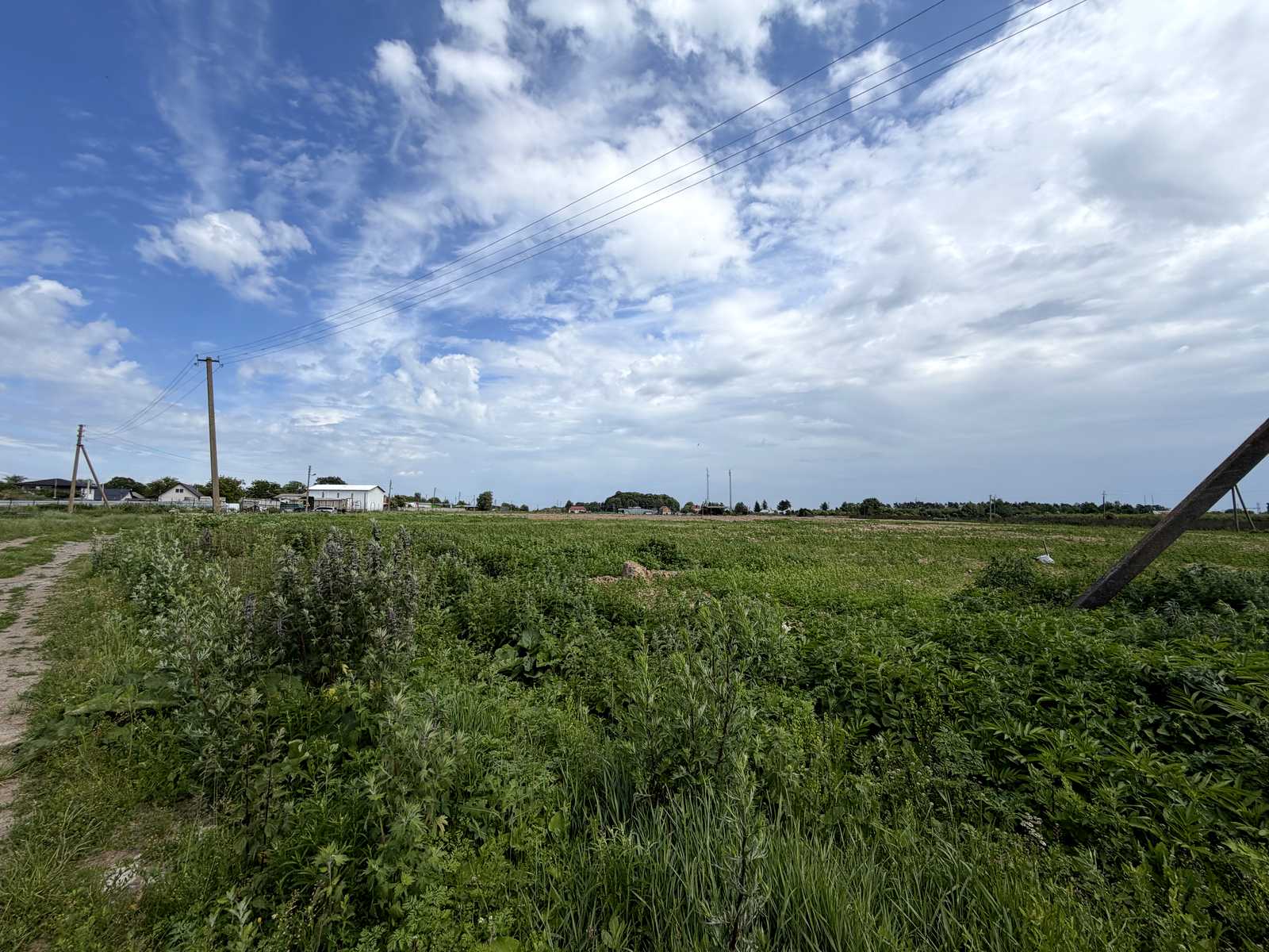 1868246475090962