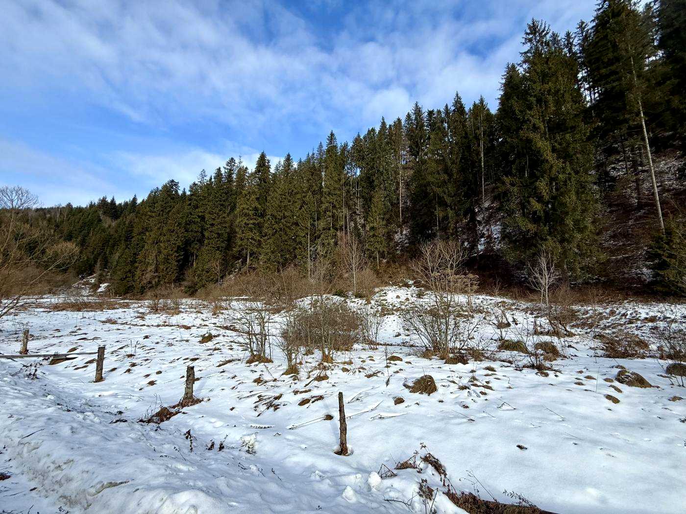 1868252920116250