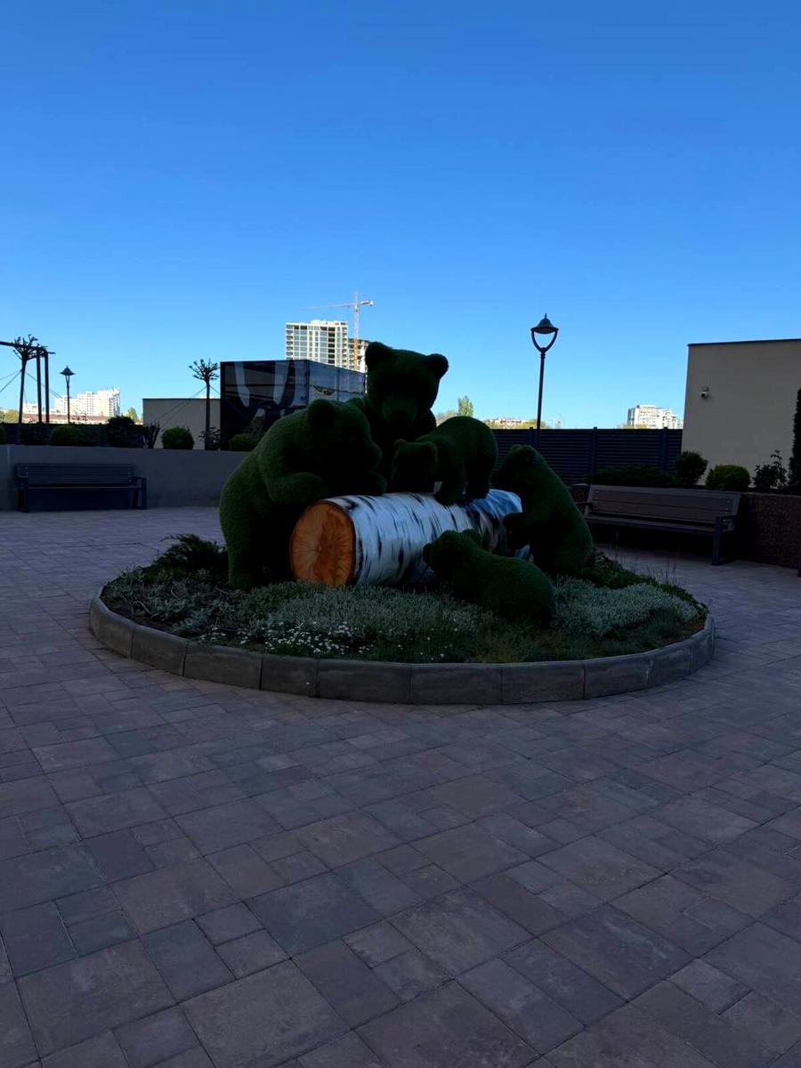 1868256432702645.jpg