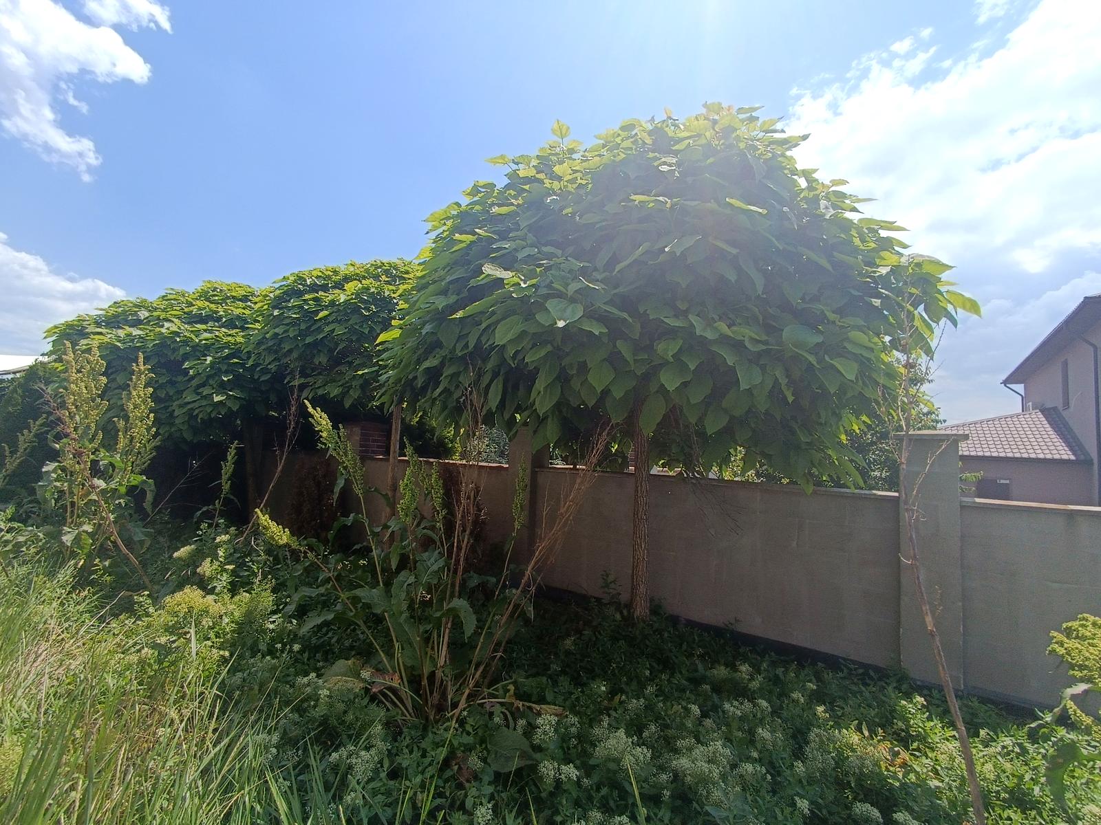 Будинок за адресою вул. Дворянська (площа 143 м²) - фото 32 Будинок за адресою вул. Дворянська (площа 143 м²) - Atlanta.ua - фото 32