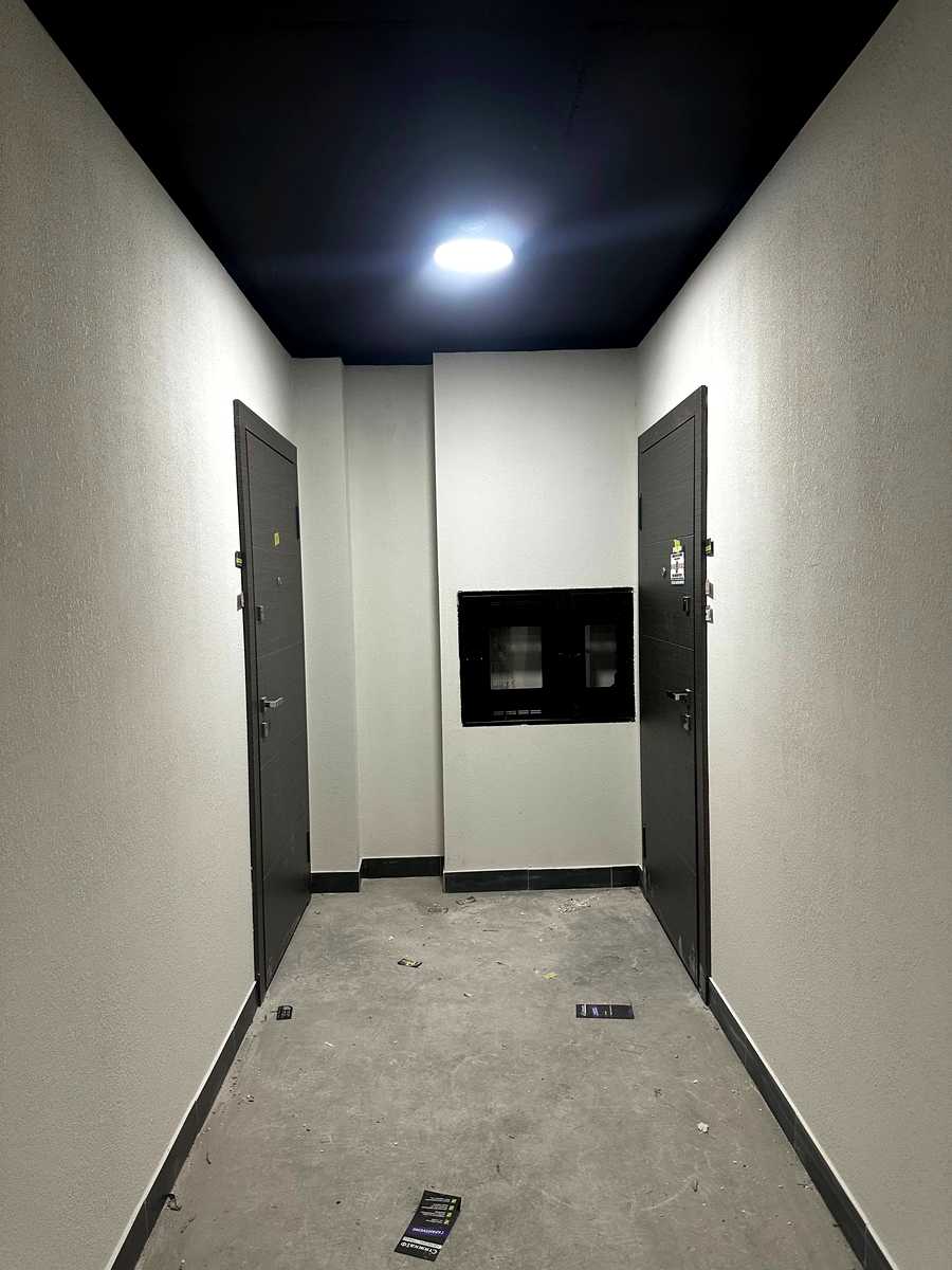 1868323333173868