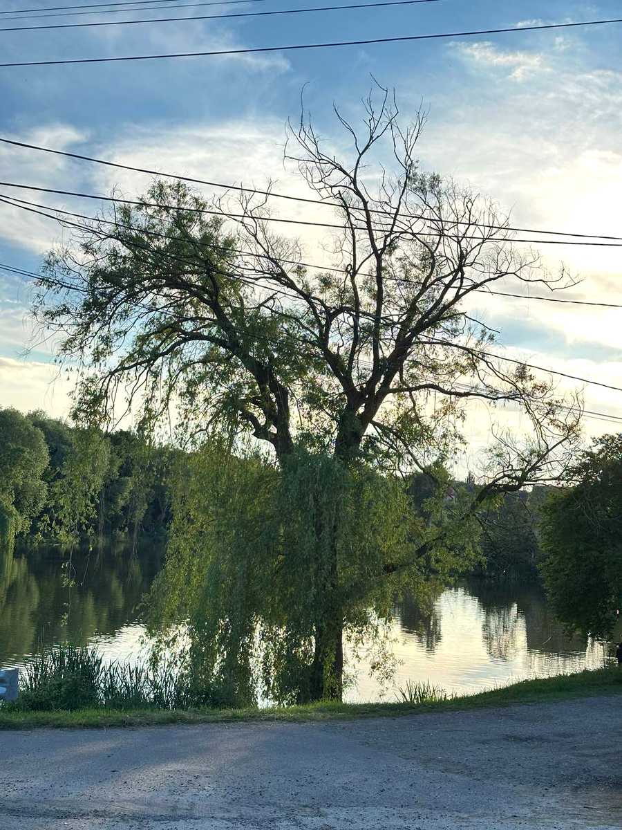1868326514565315