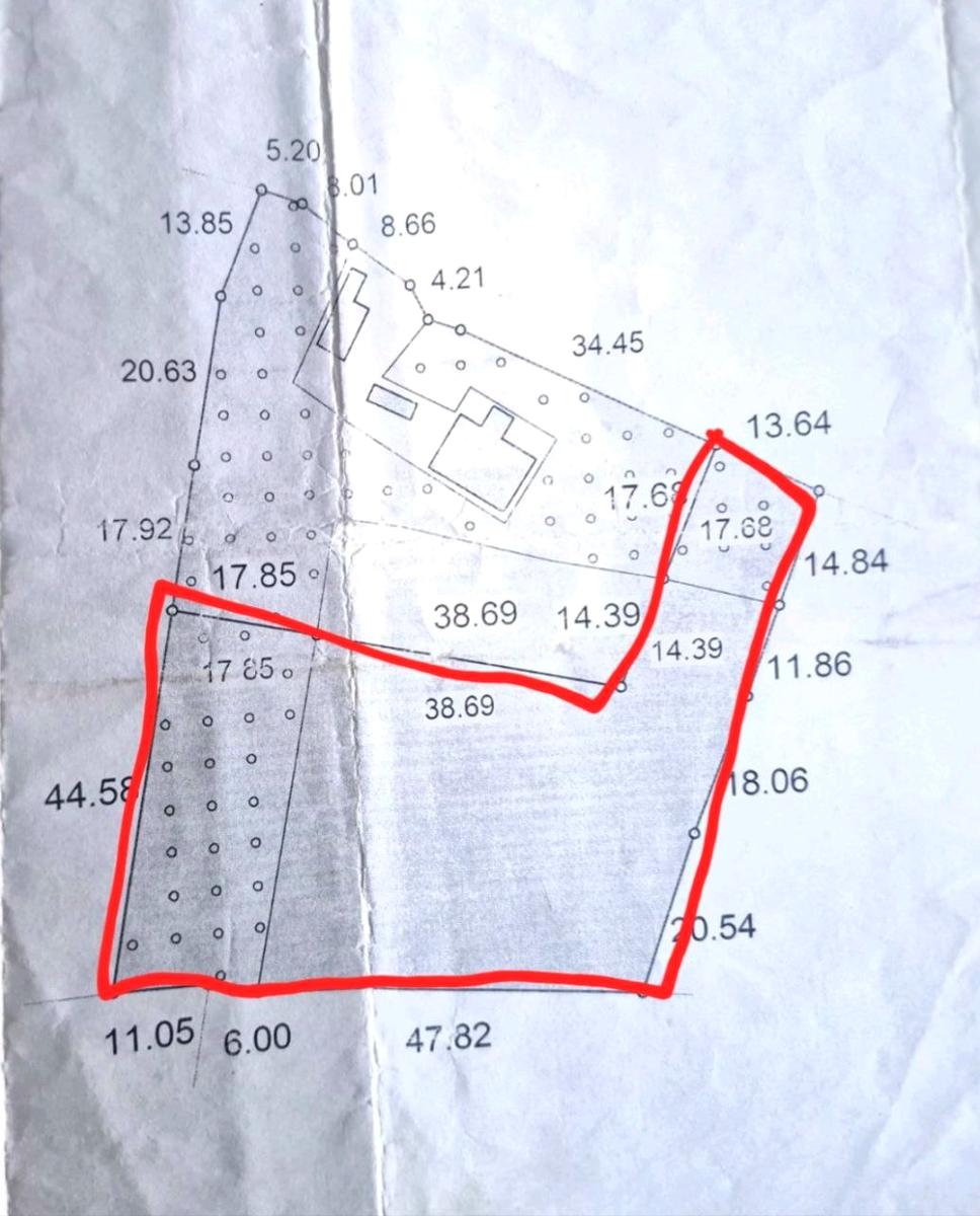 1868331328519071