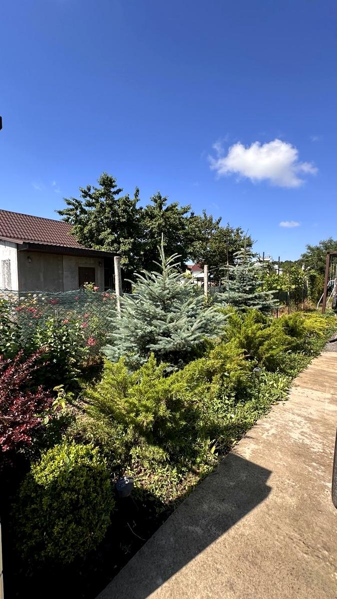 Будинок за адресою вул. Центральна (площа 110 м²) - фото 3 Будинок за адресою вул. Центральна (площа 110 м²) - Atlanta.ua - фото 3