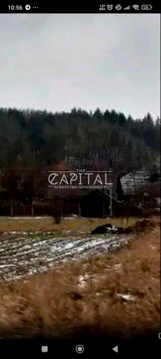 1868429944846646