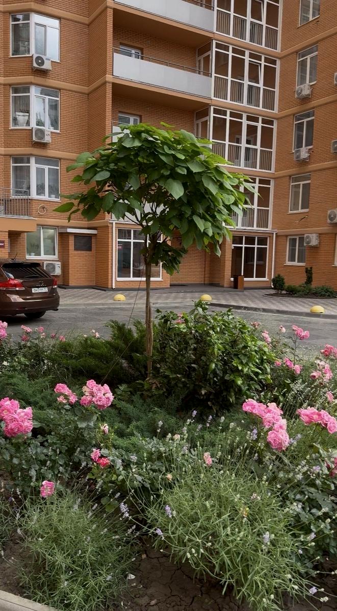 1-комнатная квартира по адресу Люстдорфская дор. (площадь 95,2 м²) 1-комнатная квартира по адресу Люстдорфская дор. (площадь 95,2 м²) - Atlanta.ua