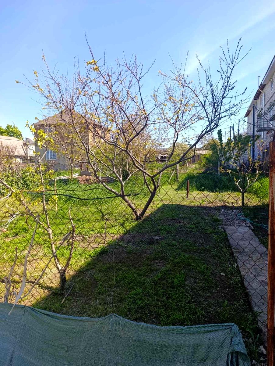 1868611301326316