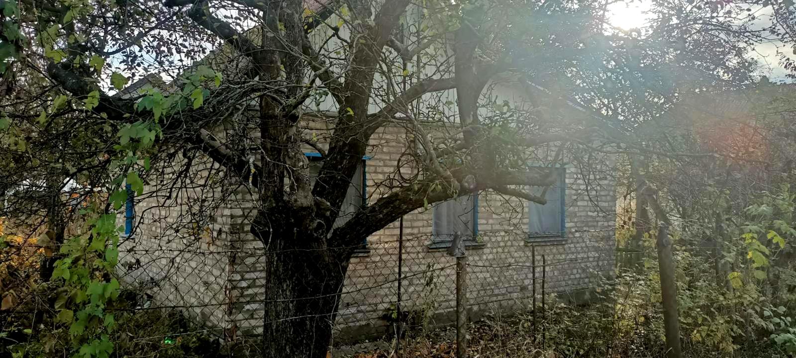 1868681195432748