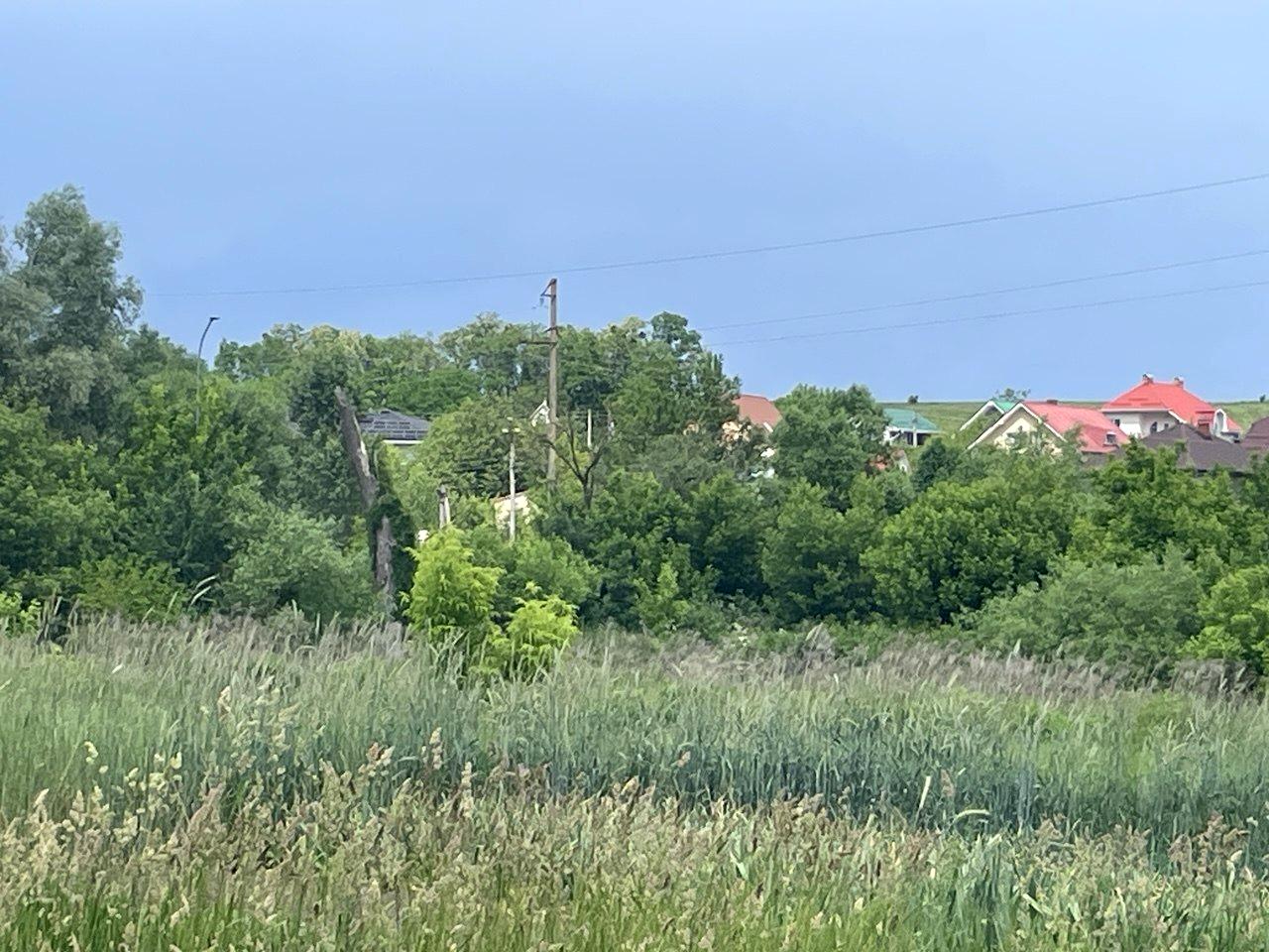 1868689463494481