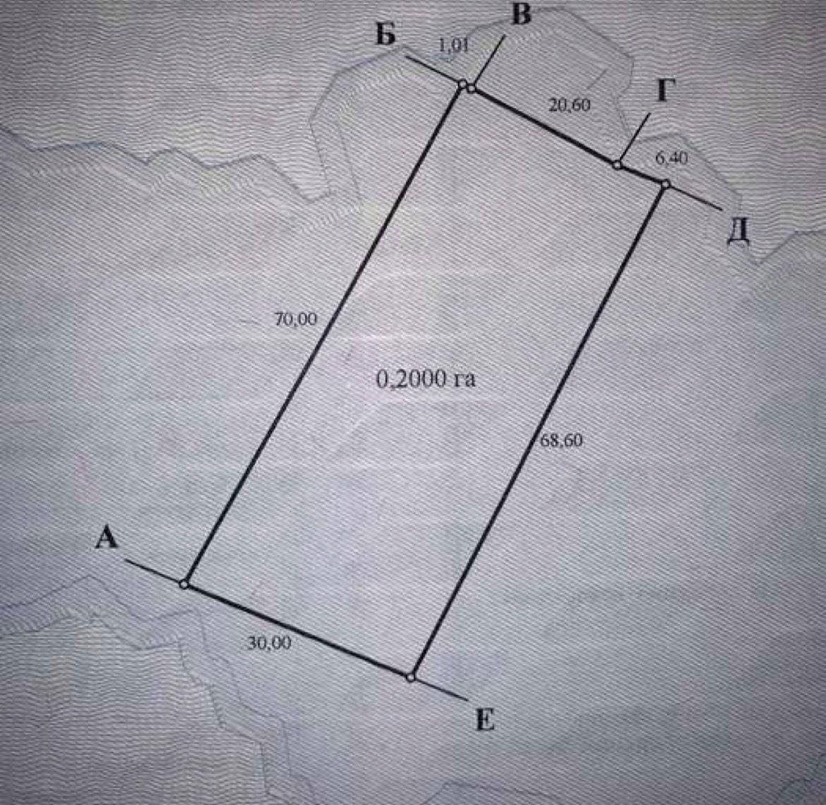 1868699438554862