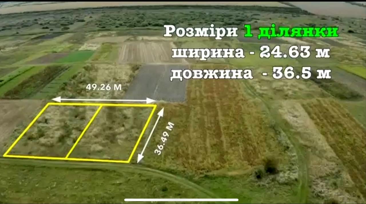 1868700387226528