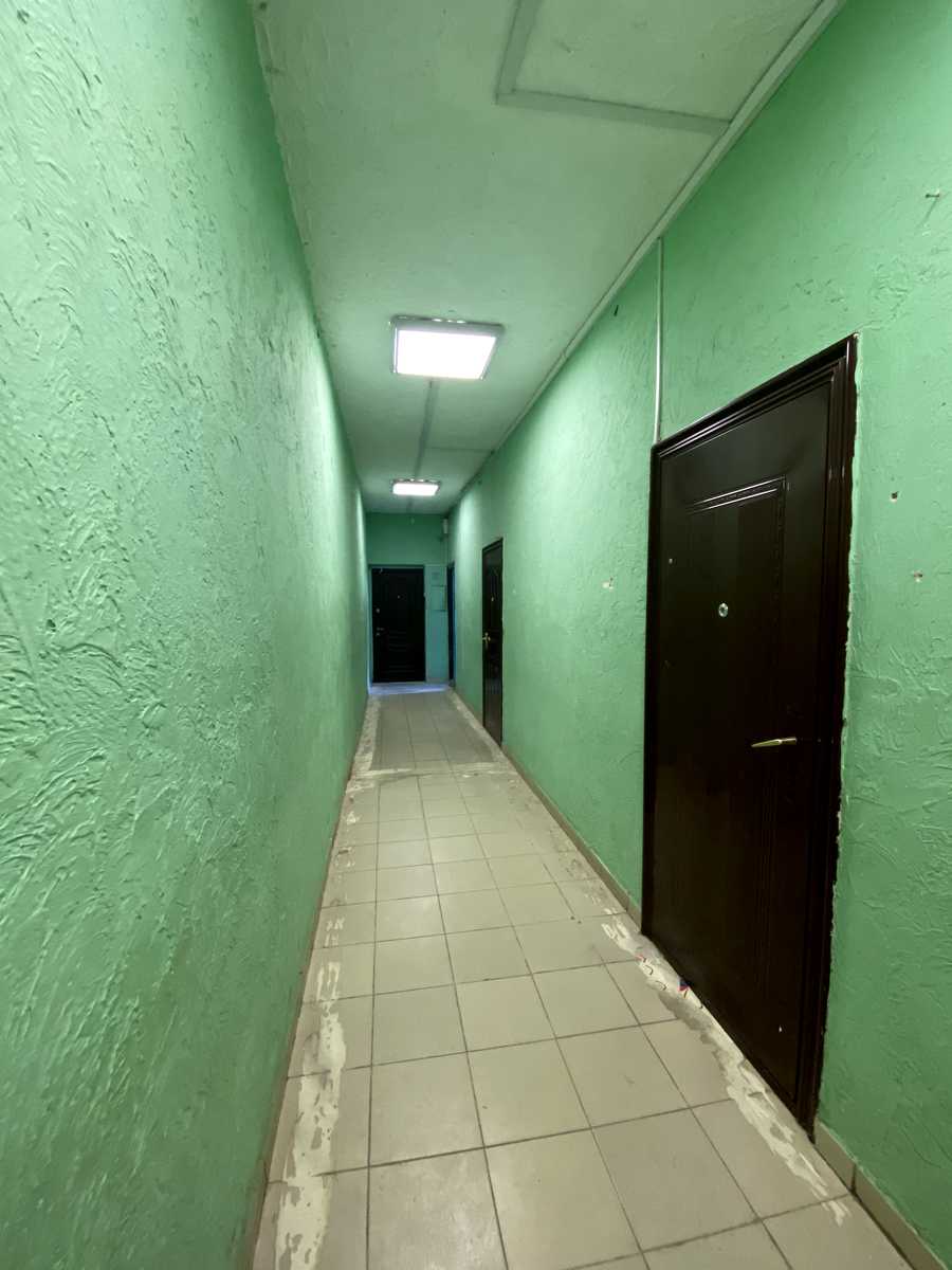 1868780350099229
