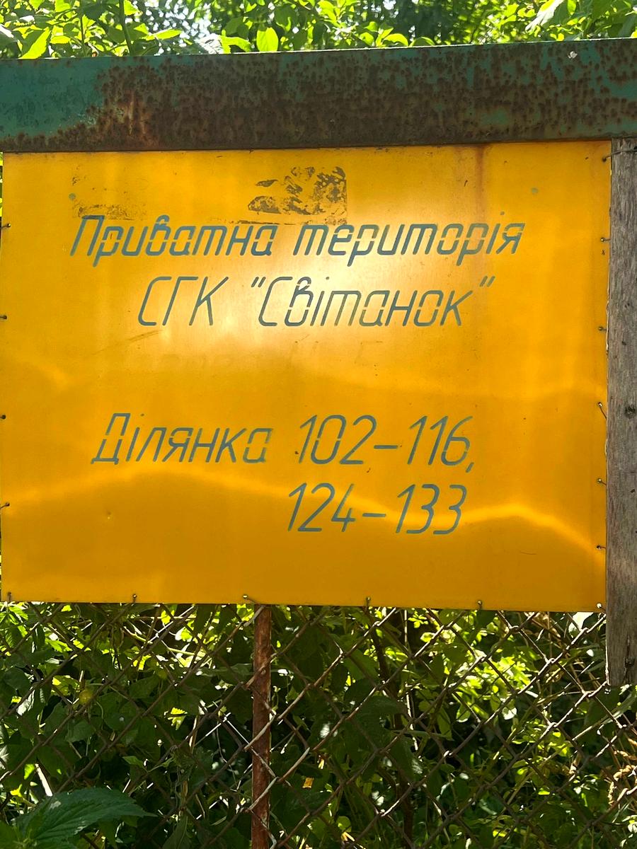 1868911466309135.jpg