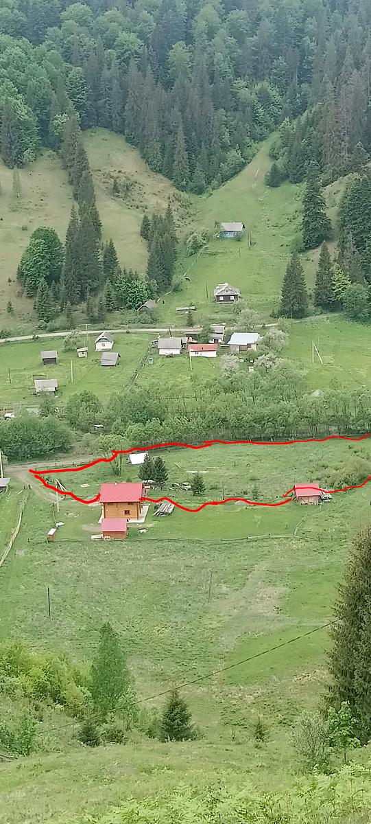 1868915978819291