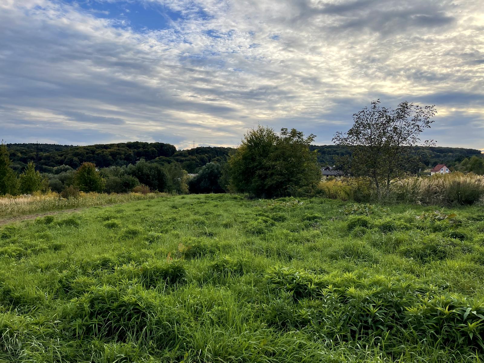1868945542404930