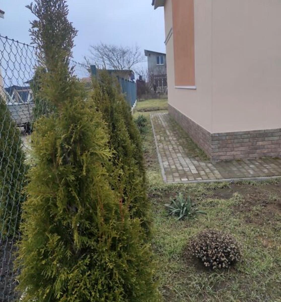 1868975551475380