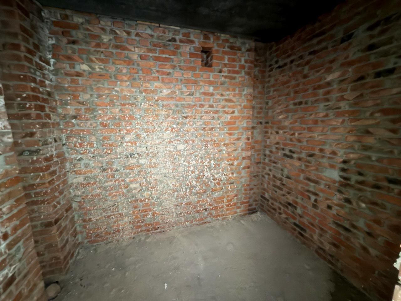 1868976130353389