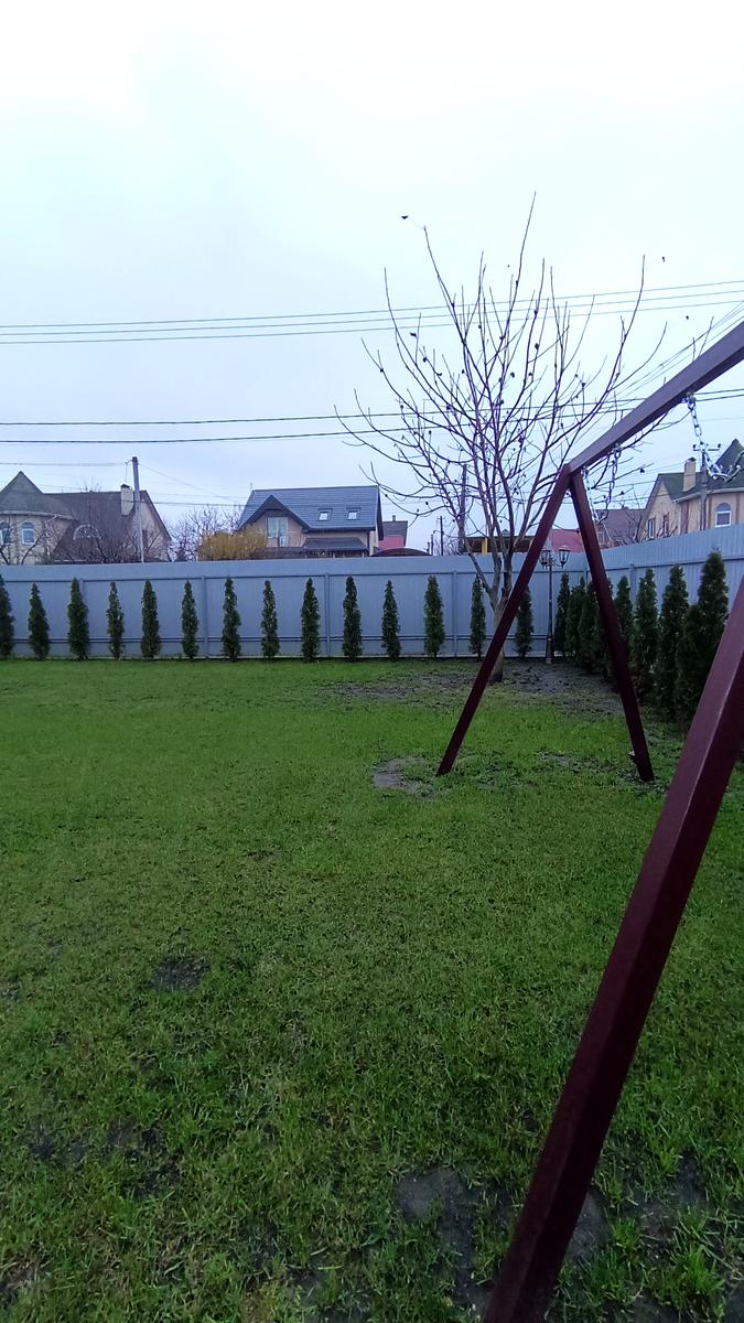 1868999771574866
