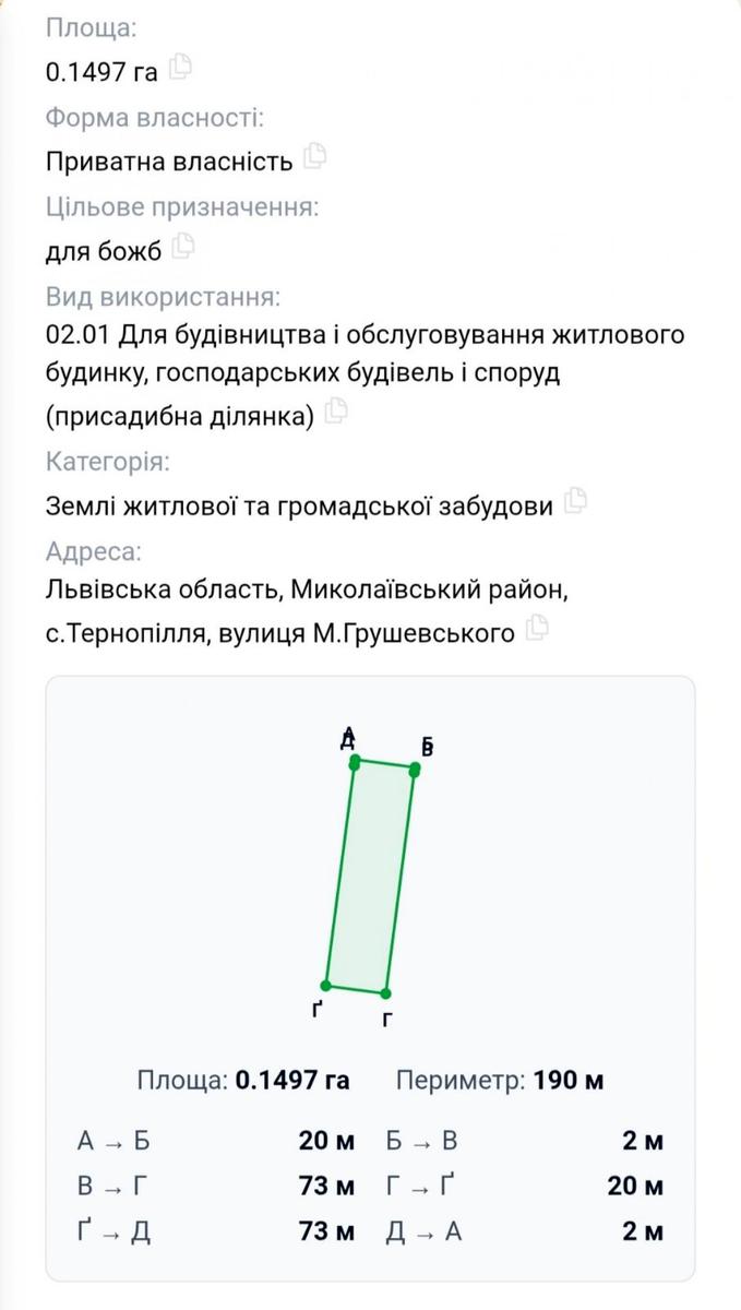 1869006854170905.jpg