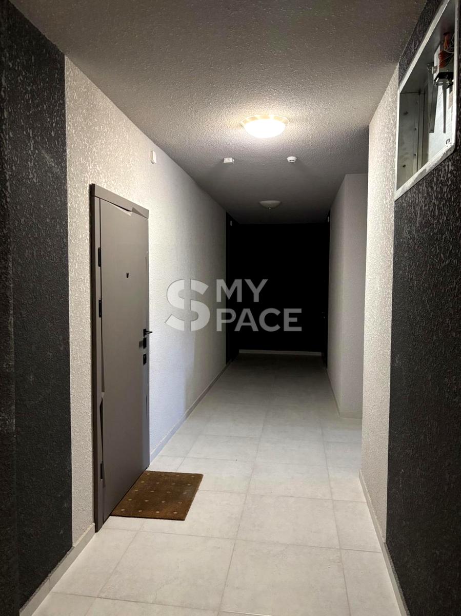 1869063538364586