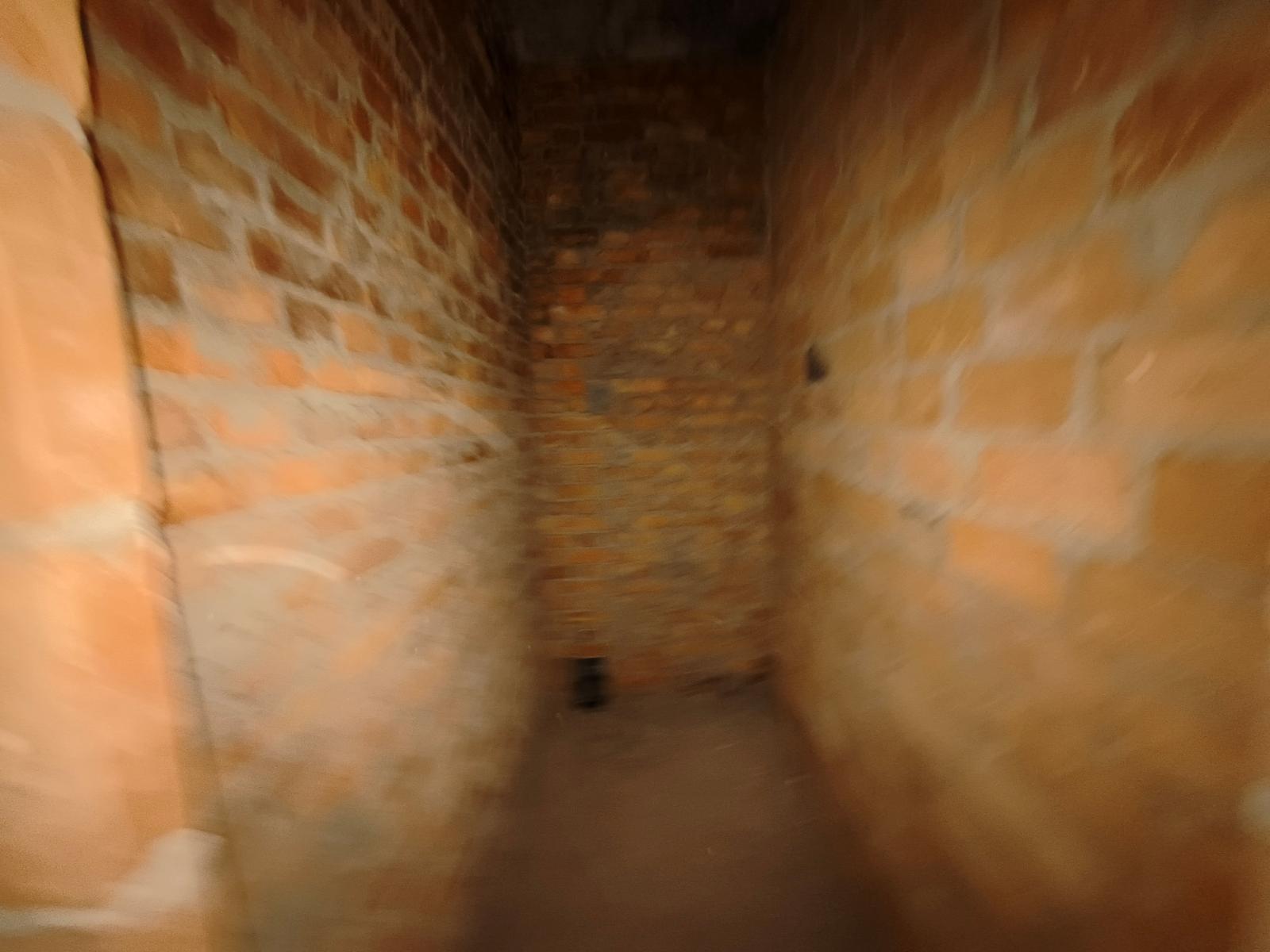 1869068454731781