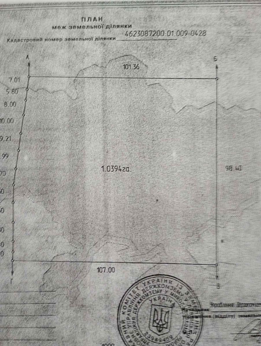 1869075051509059.jpg