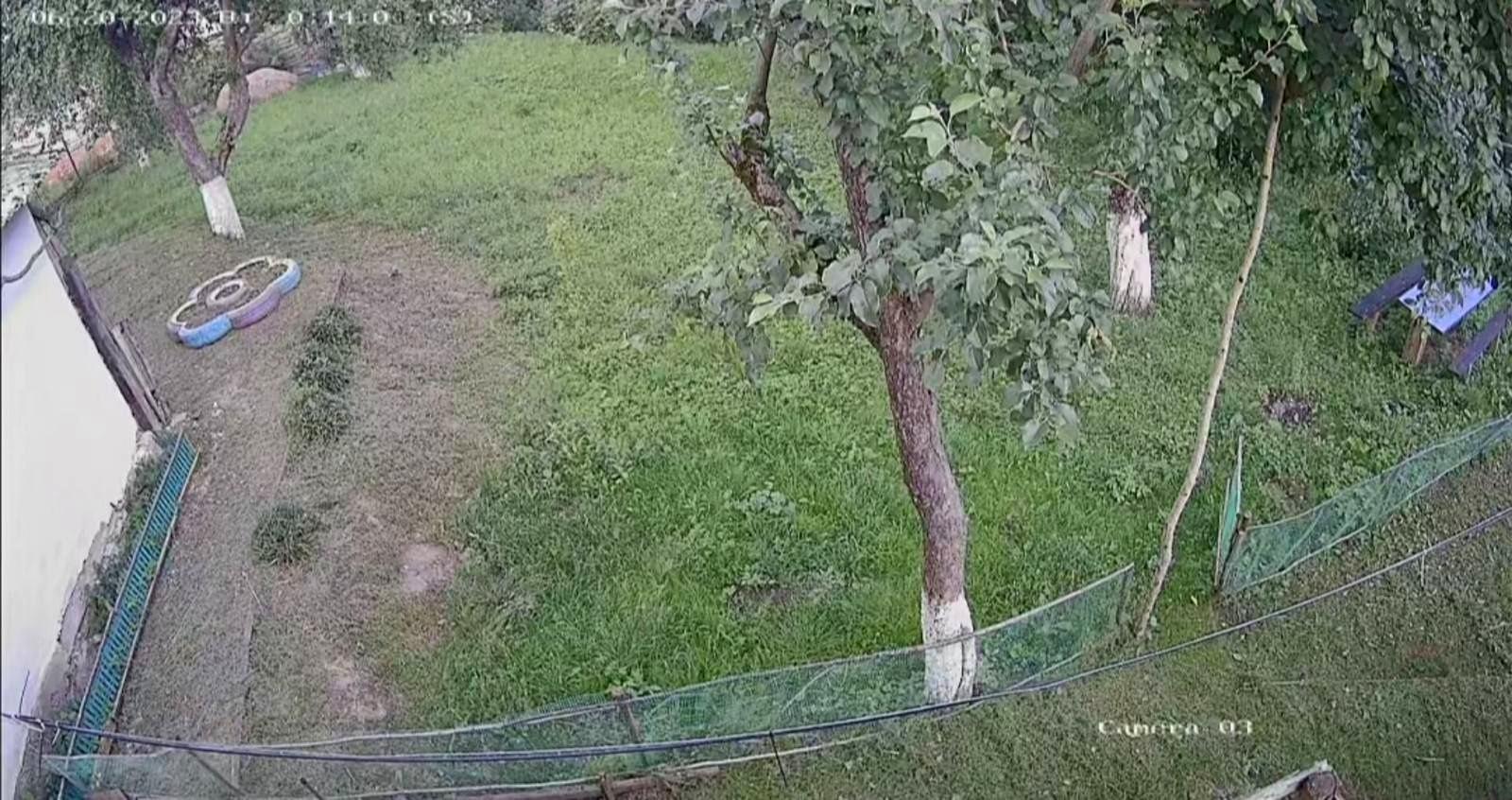1869075668693792.jpg
