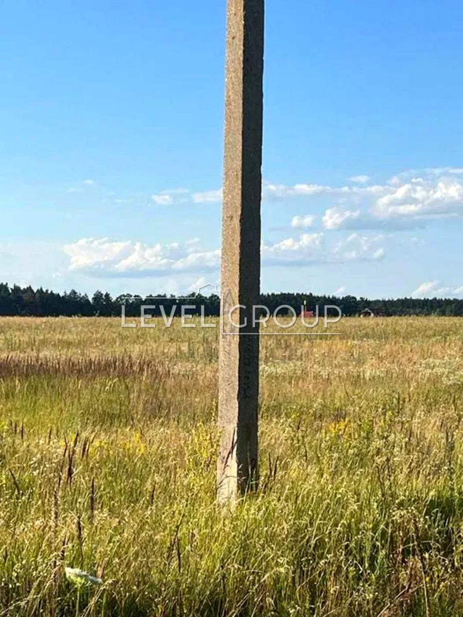 1869094556586473