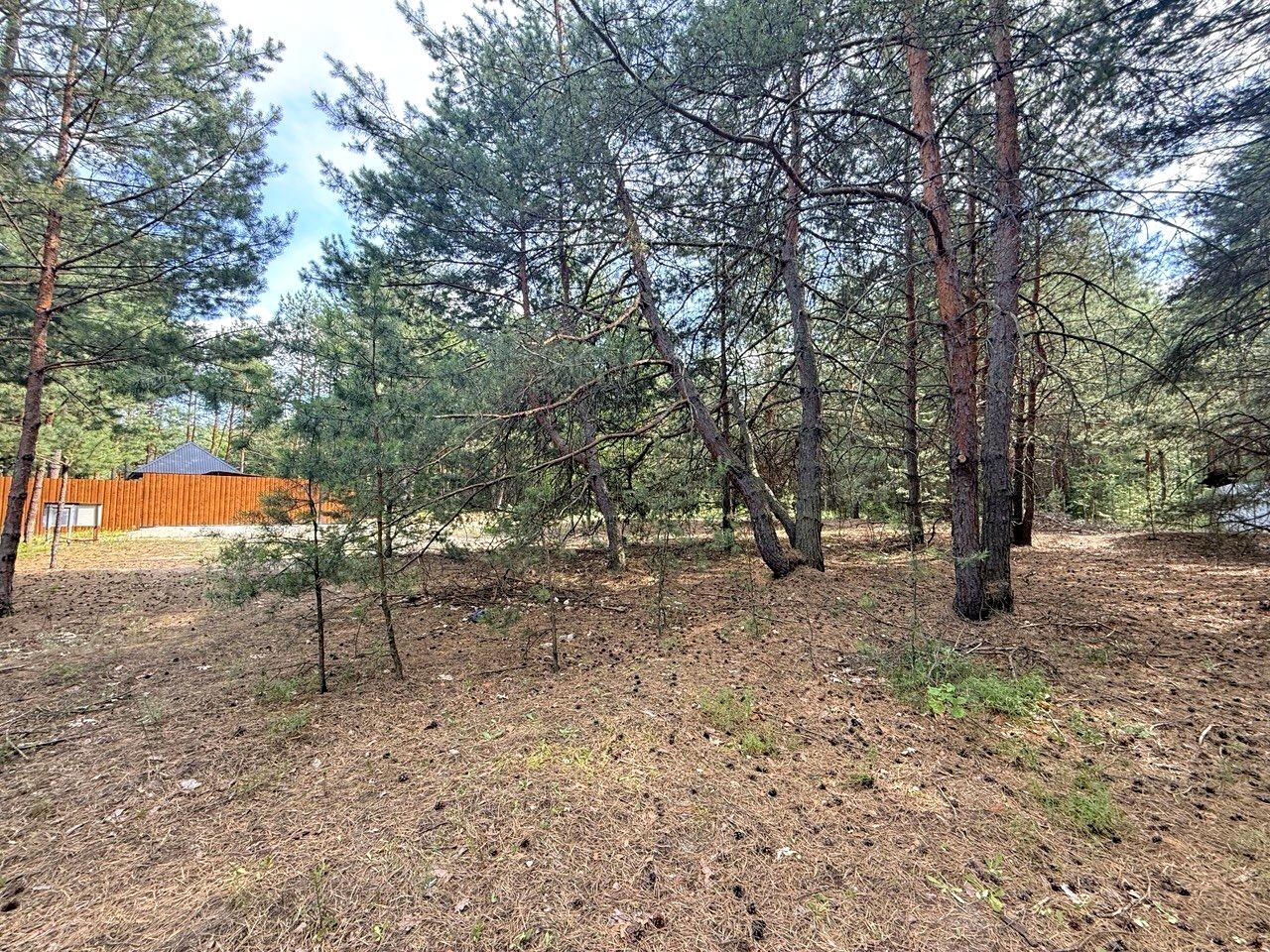 1869178688928330