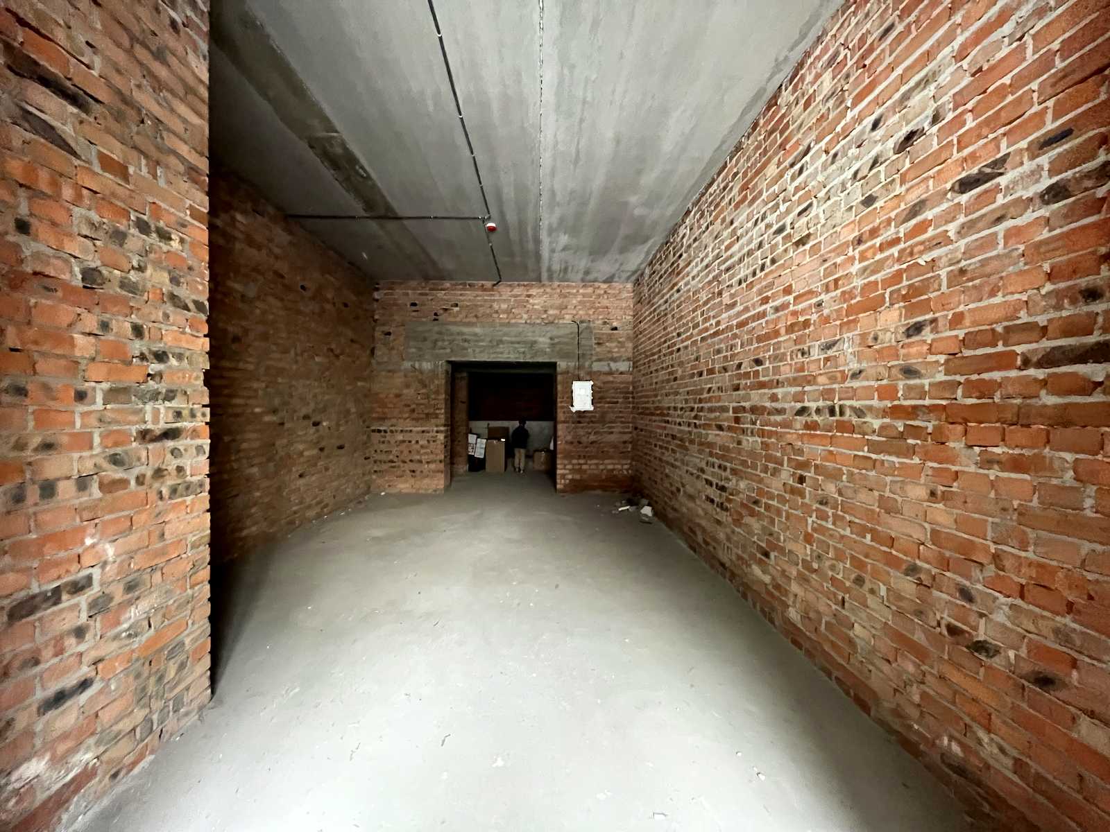 1869183581330666