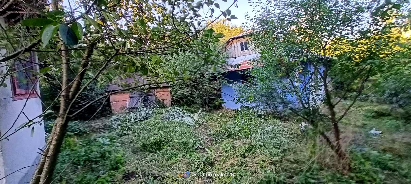 1869246162728541