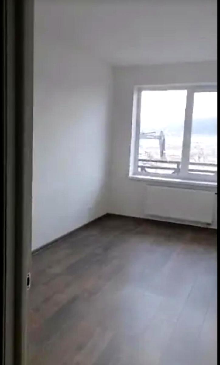 1869316534701359