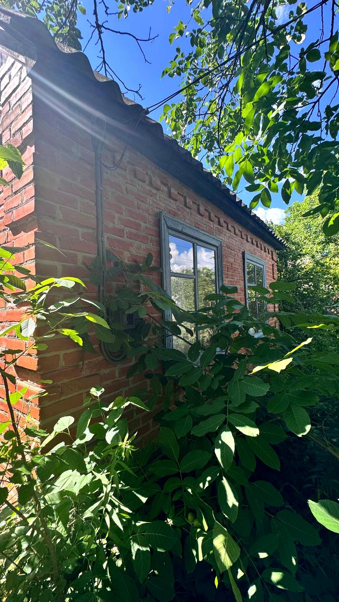 1869325160882406