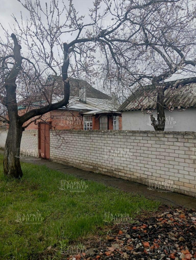 1869417430781051