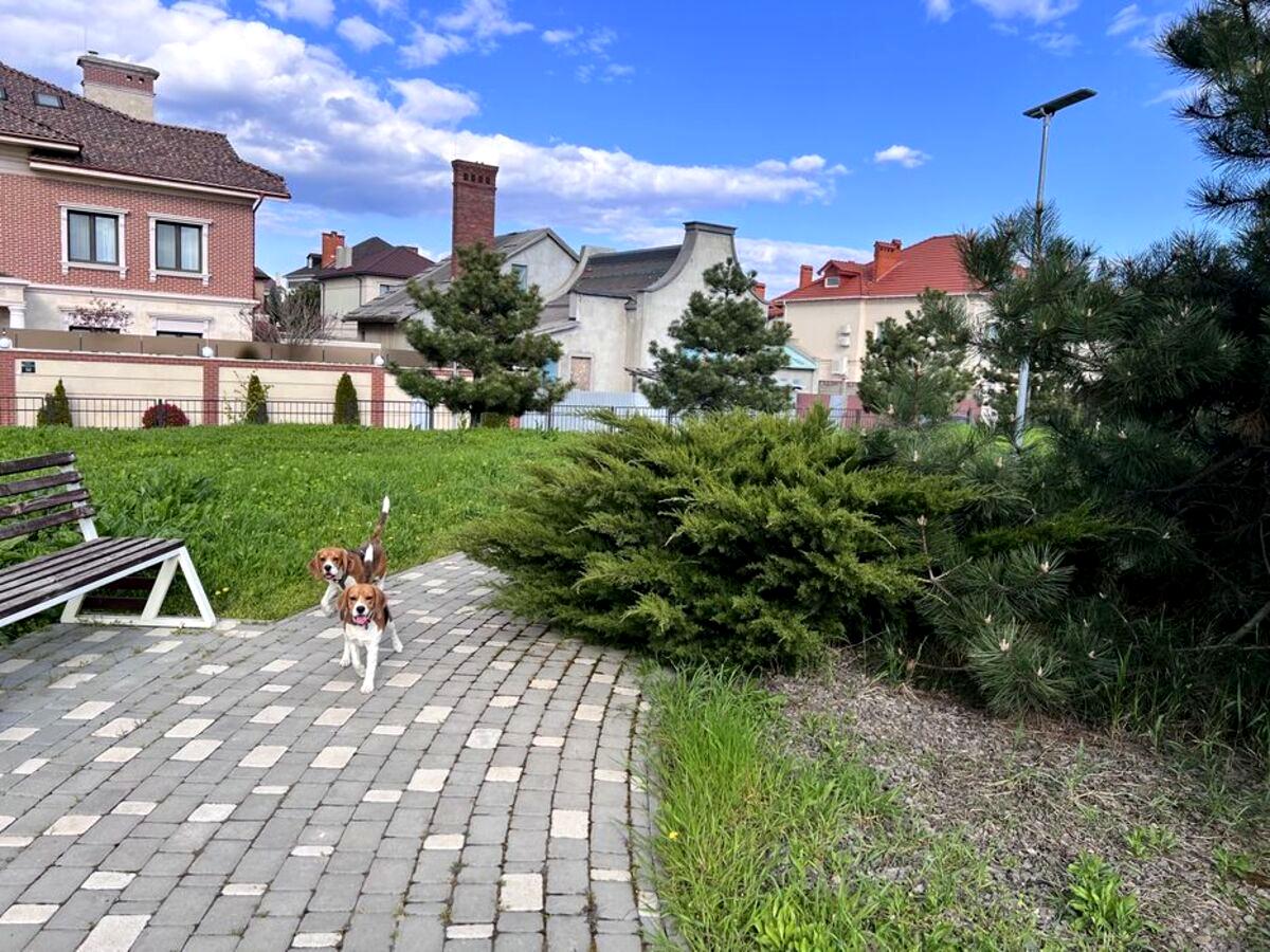 Дом по адресу ул. Пригородская (площадь 170 м²) - фото 14 Дом по адресу ул. Пригородская (площадь 170 м²) - Atlanta.ua - фото 14