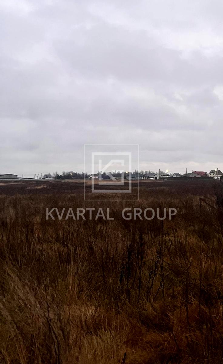 1869425043795263