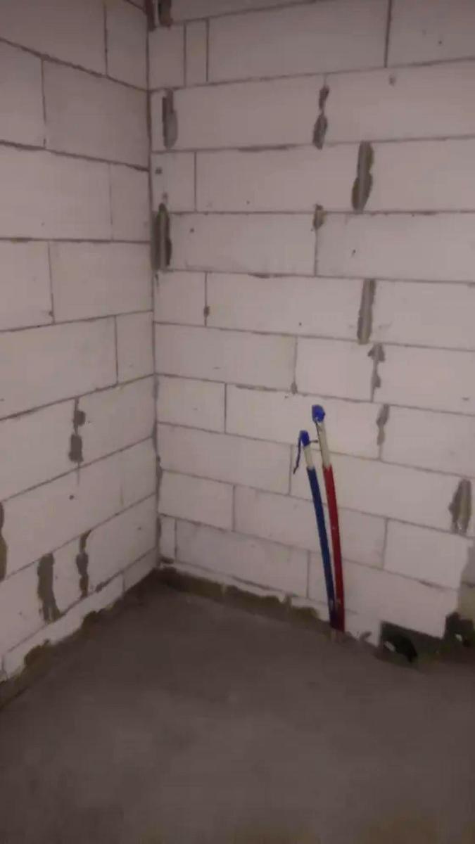 1869427454417216