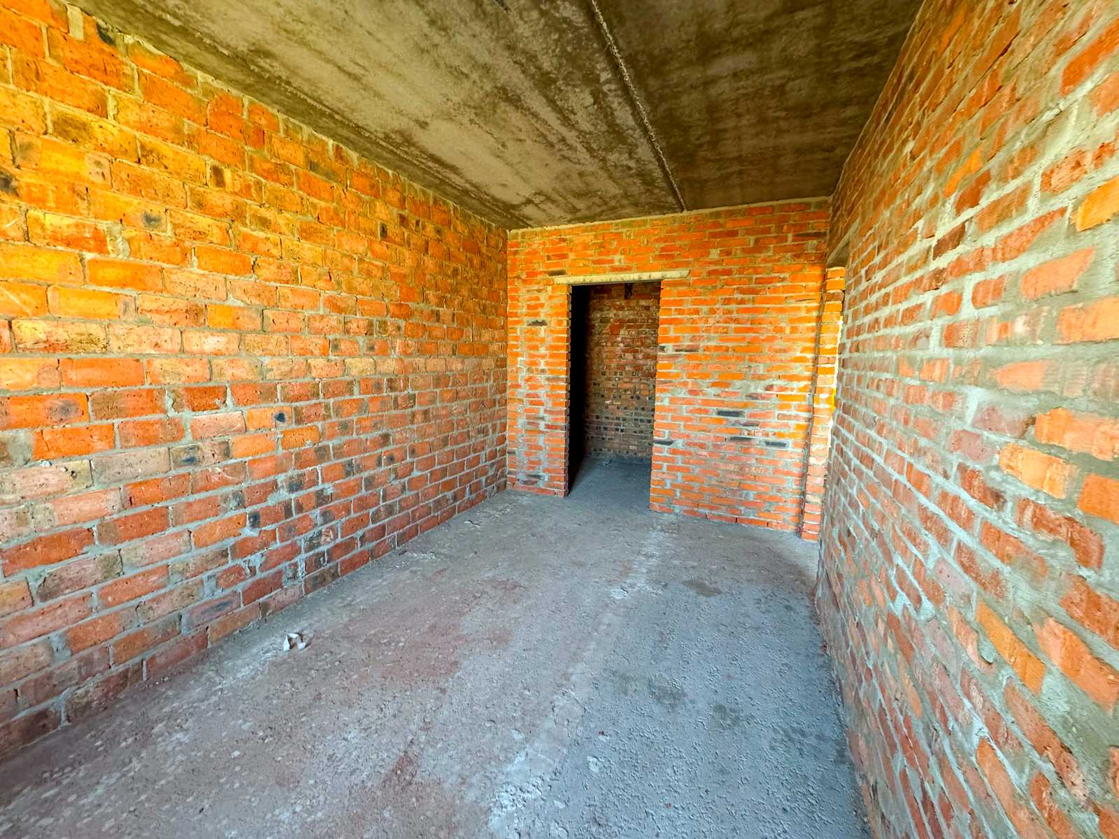 1869428412758785