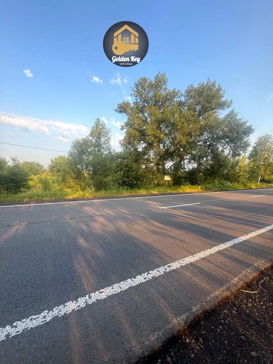 1869446083980612