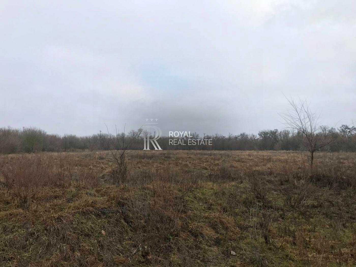 1869464822554749
