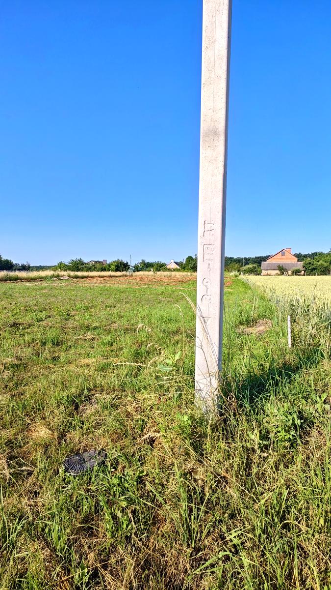 1869492955612814