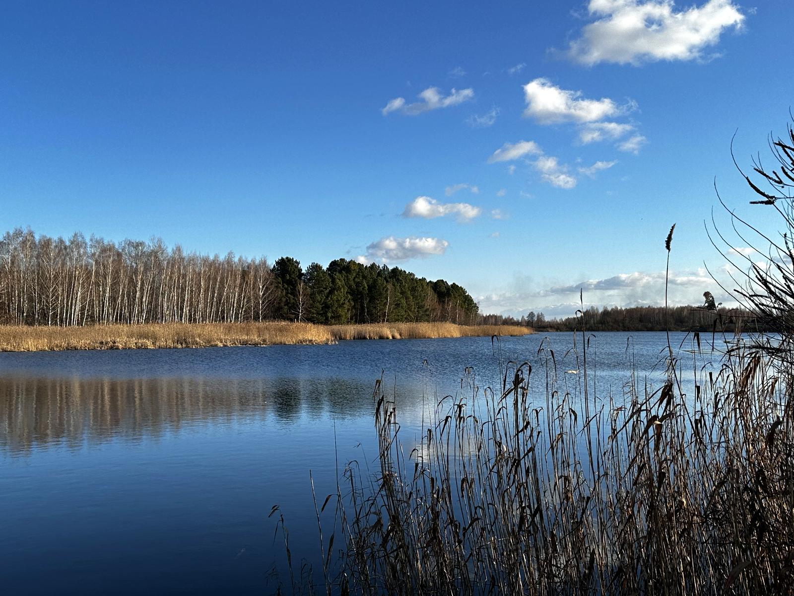 1869493930200307
