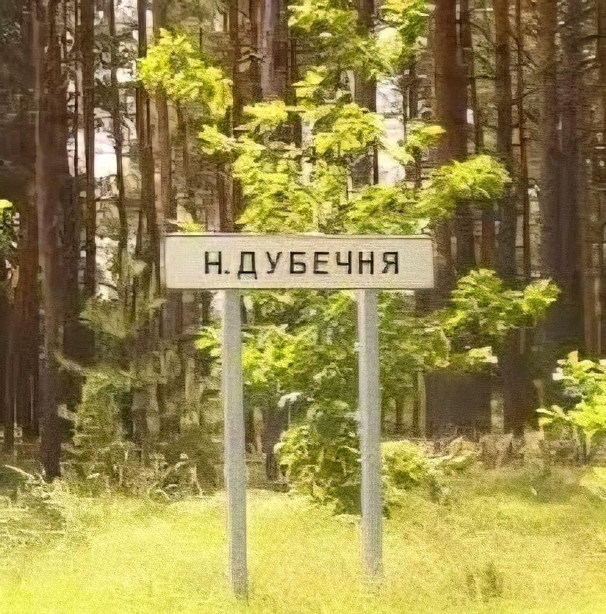 1869498015265996