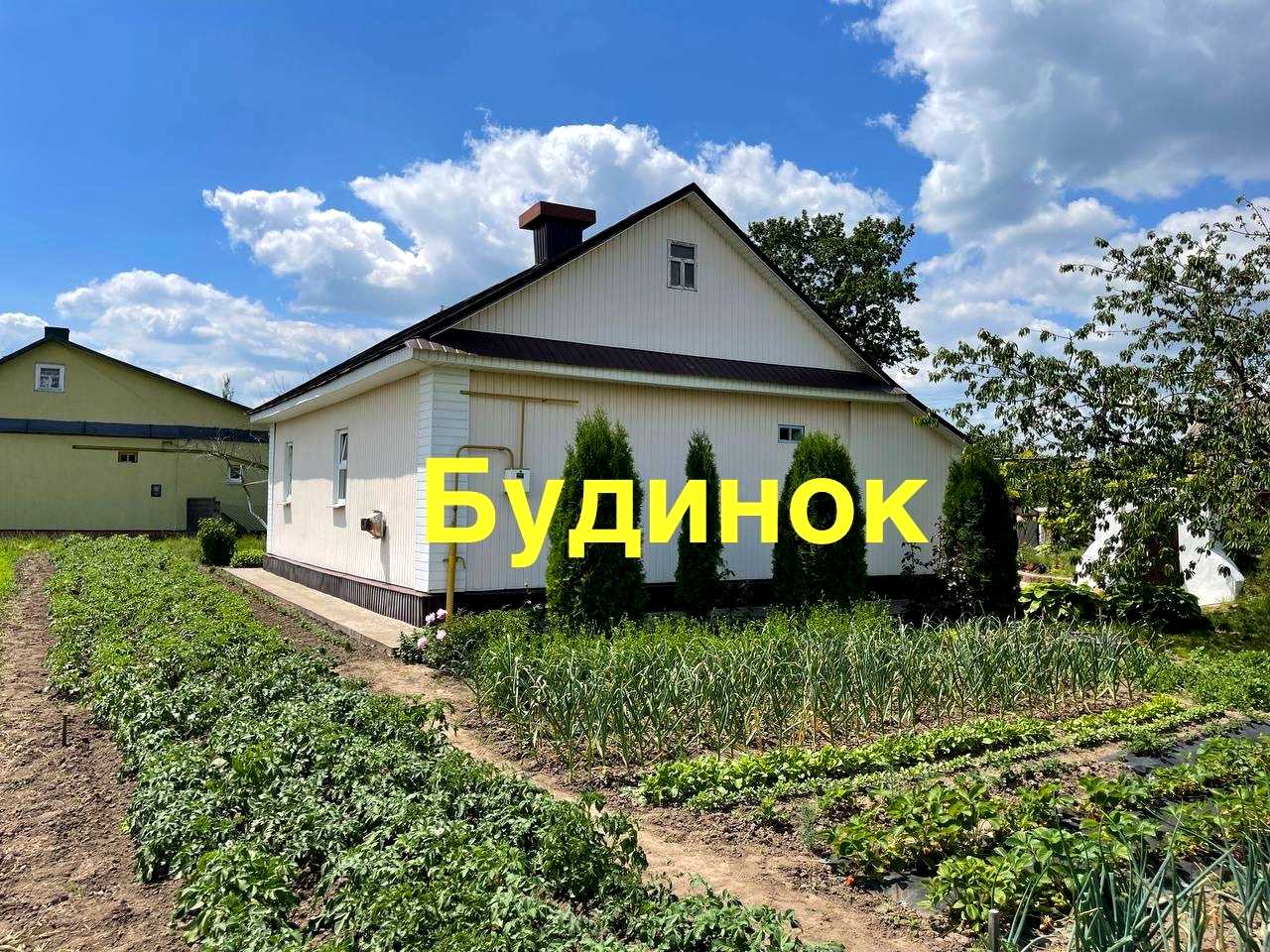 1869509385433853