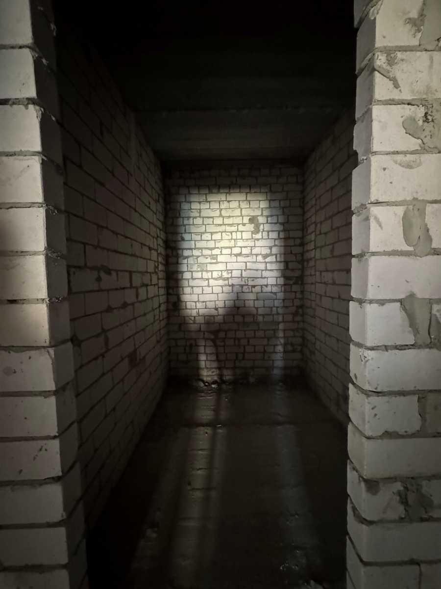 1869510205615641