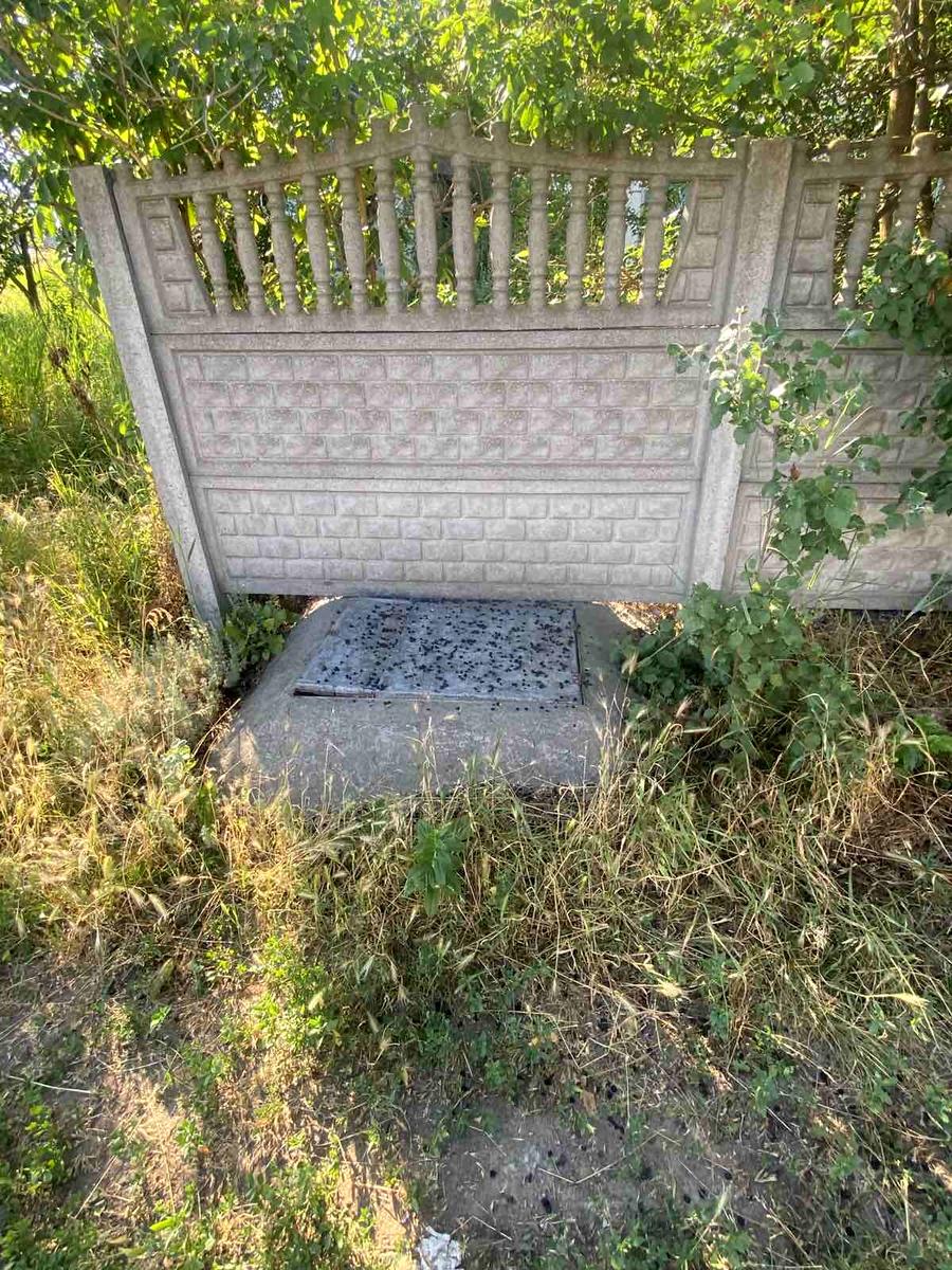 1869510308035730